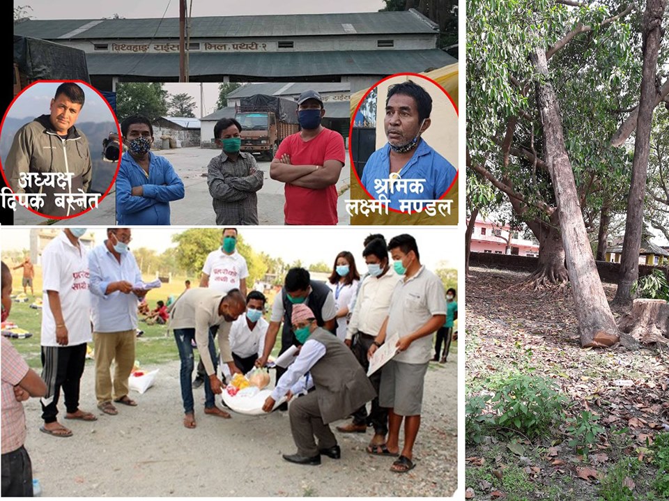 रुख कटान तथा मजदुरमाथि कुटपिट लगायतका विषयमा कांग्रेसले बुझायो ध्यानाकर्षण पत्र