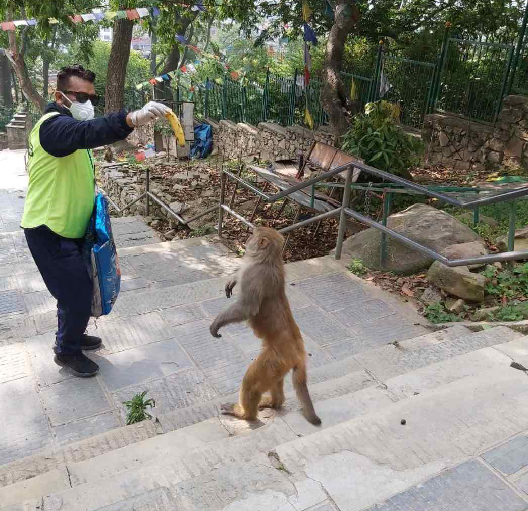 समस्यामा परेका दुई सय पचाँस परिवारलाई एनटीको राहत