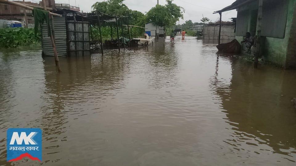 लगातार परेको वर्षाले स्लामपुर जलमग्न (फोटो फिचरसहित)