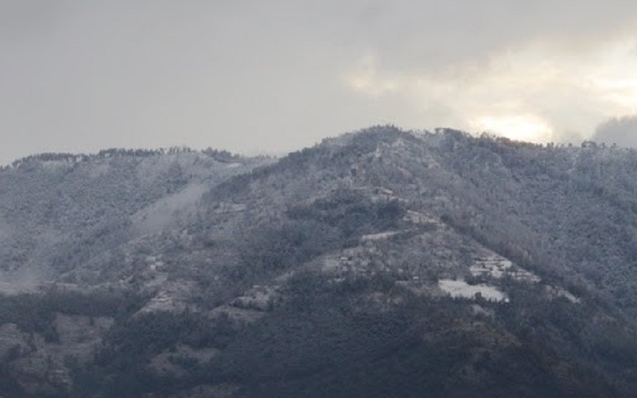 फुल्चोकी जंगलमा हराइरहेका २ जनाको सकुशल उद्धार