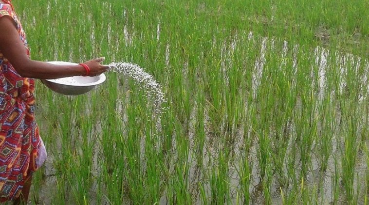 अन्तर्राष्ट्रिय किसानको विश्वव्यापी बैठक नेपालमा हुने