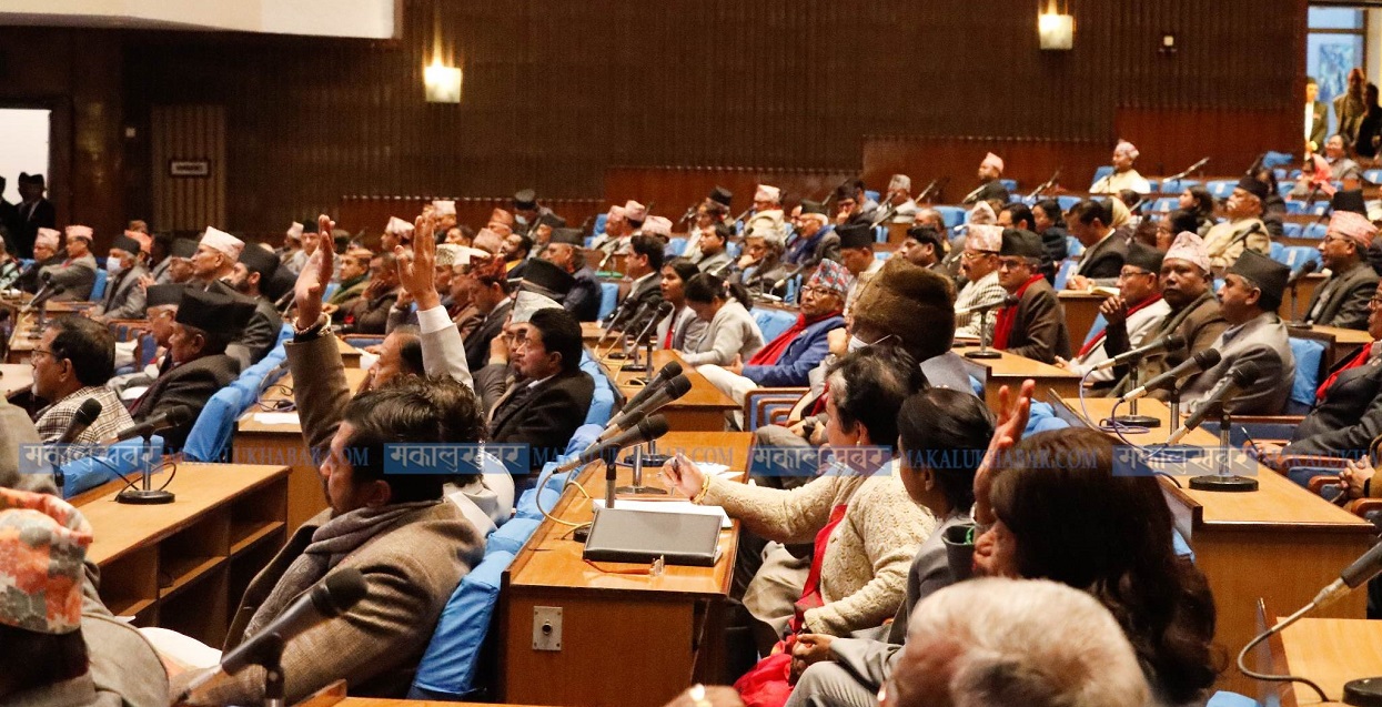 शरणार्थी काण्डले राष्ट्रलाई नै लज्जित बनाएको सांसदकाे भनाइ