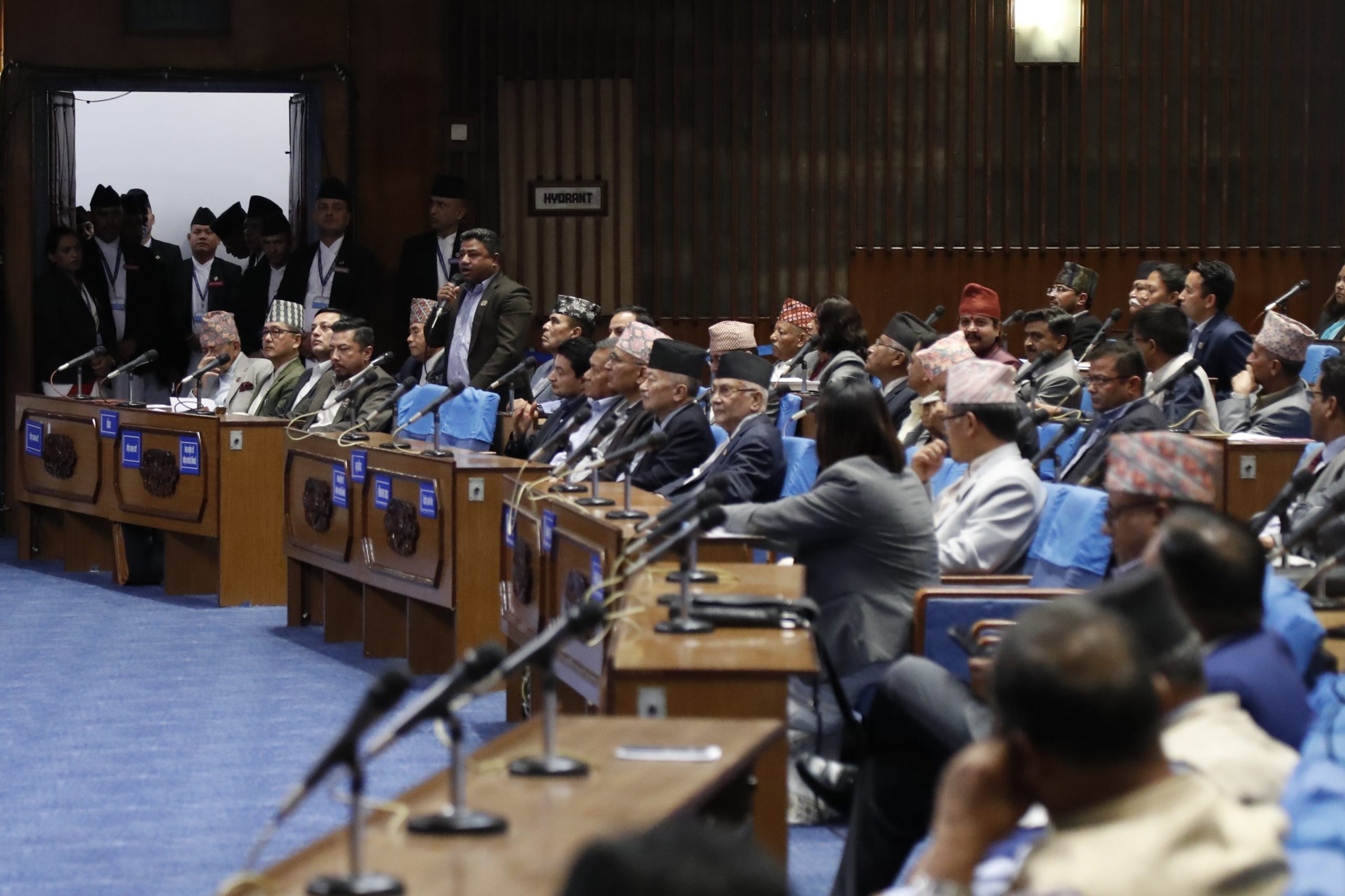 राष्ट्रपतिबाट प्रमाणीकरण भएको नागरिकता विधेयक संशोधन गर्न रास्वपाको माग