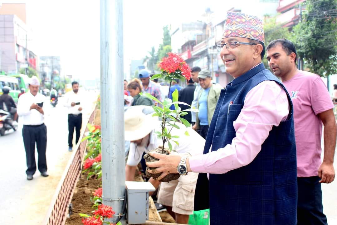 पोखराको न्यूरोडमा मेयर-उपमेयरले रोपे फूलका बिरुवा, सवा करोडमा बन्यो डिभाइडर