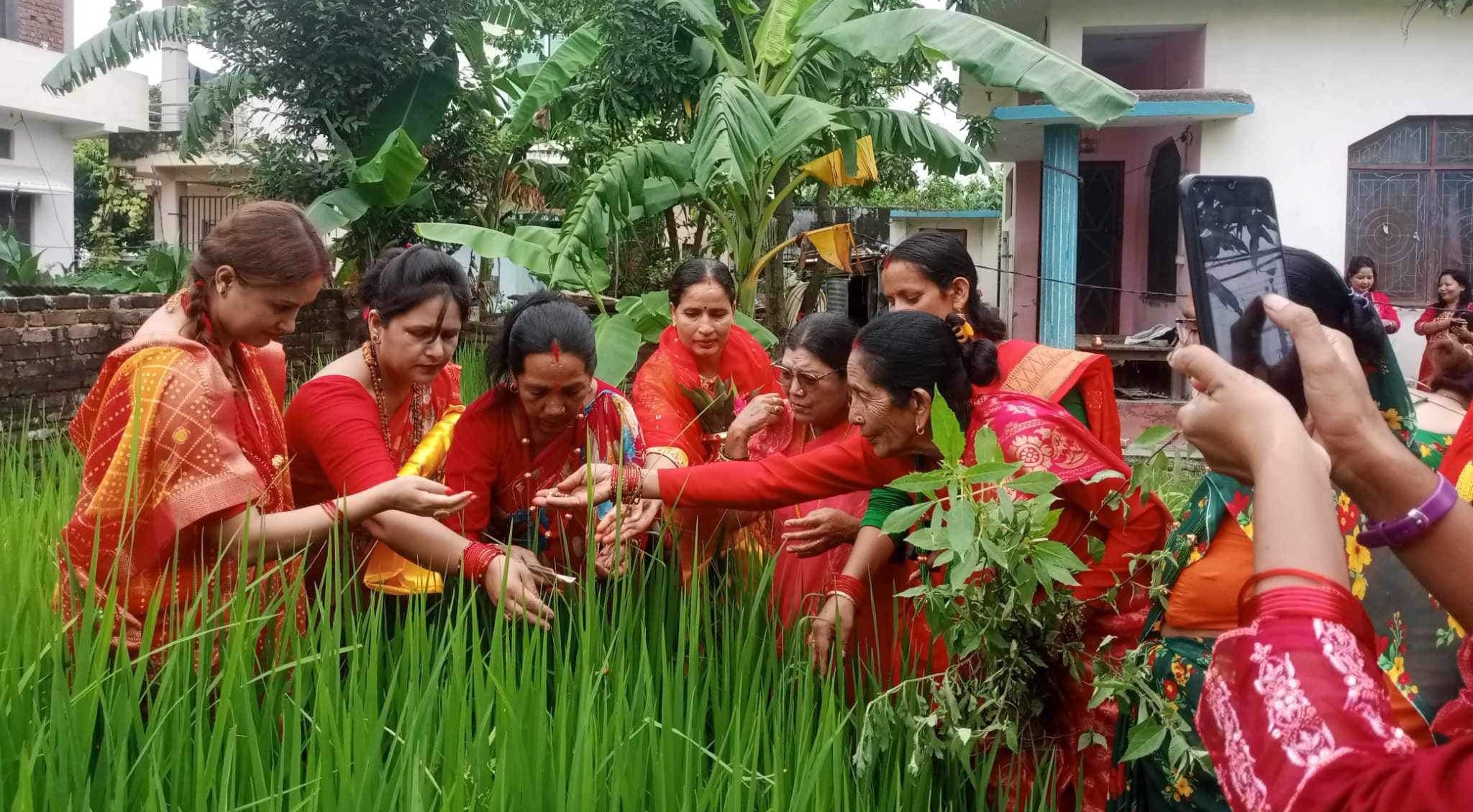 गौरा पर्वका अवसरमा सुदूरपश्चिममा दुई दिन सार्वजनिक बिदा