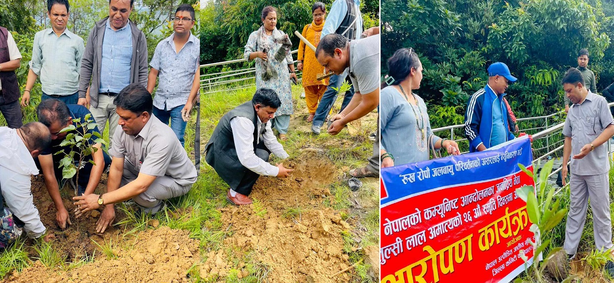 २६ औँ तुलसीलाल स्मृति दिवसमा जातीय मुक्ति समाज काभ्रेद्वारा वृक्षारोपण