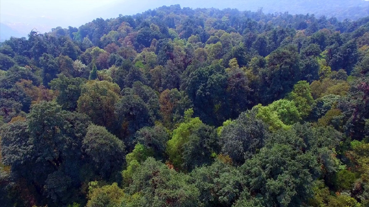 सामुदायिक वनसमूहद्वारा लघु उद्यम कार्यक्रम सञ्चालन