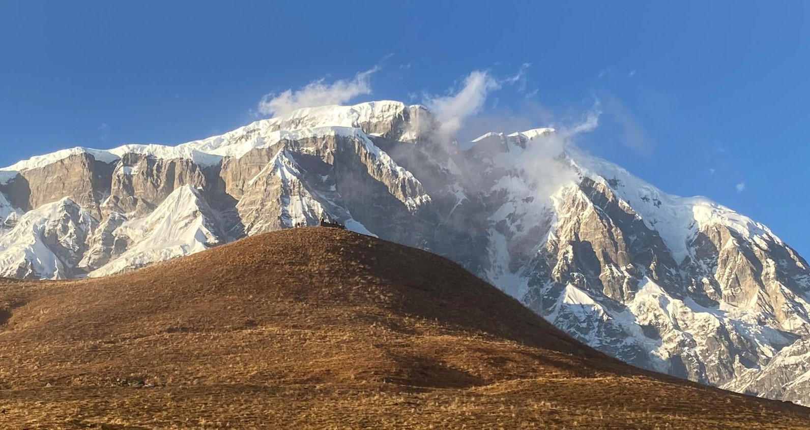 हिमालको फेदैफेद कोरी पहाड (यात्रा संस्मरण)