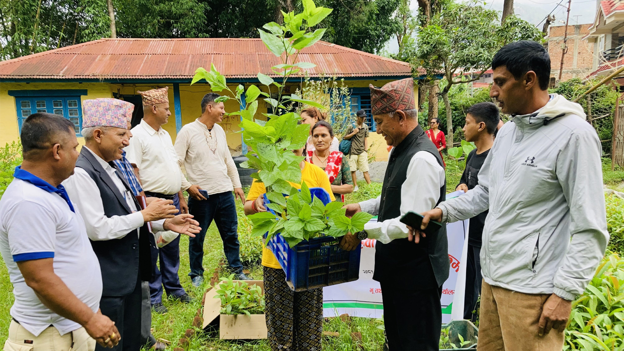 चार जिल्लाका किसानलाई ६४ हजार डालेघाँसका बिरुवा