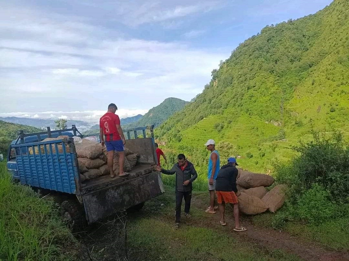 आलुले बजार पाउन थालेपछि किसान उत्साहित