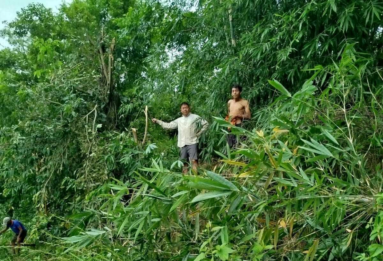 विद्युतीय जोखिम कम गर्न श्रमदानद्वारा झाडी हटाइँदै