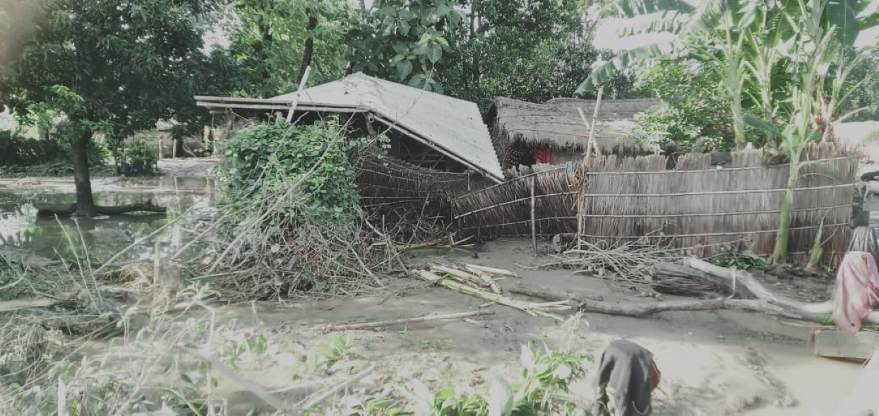 पानी घटेपछि बाढीपीडितहरू घर फर्किए