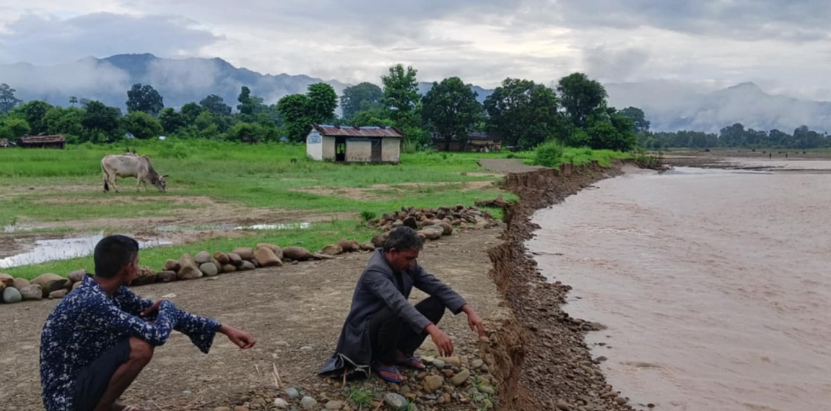 चौधर नदीले कटान गर्दा बस्ती जोखिममा