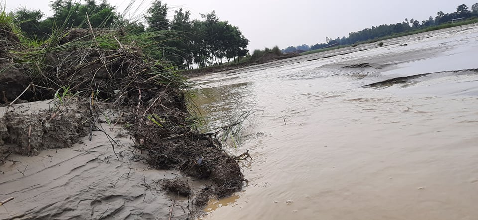 तारकेश्वरमा १२ वर्षीय बालकलाई खोलाले बगायो