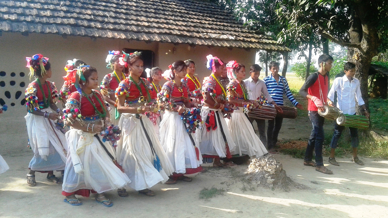 सखिया नाचमा झुम्दै कञ्चनपुरका थारु बस्ती