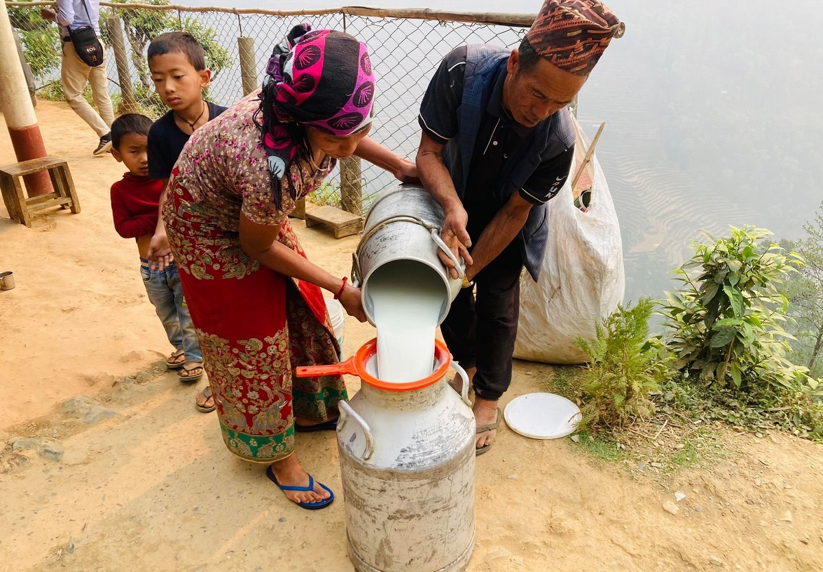 सहकारीमार्फत दूधको बजारीकरण भएपछि किसान उत्साहित