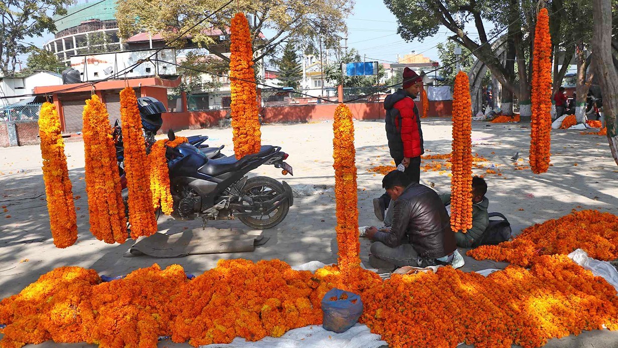 काठमाडौंका यी ४६ स्थानमा पाइनेछन् स्वदेशी फूल