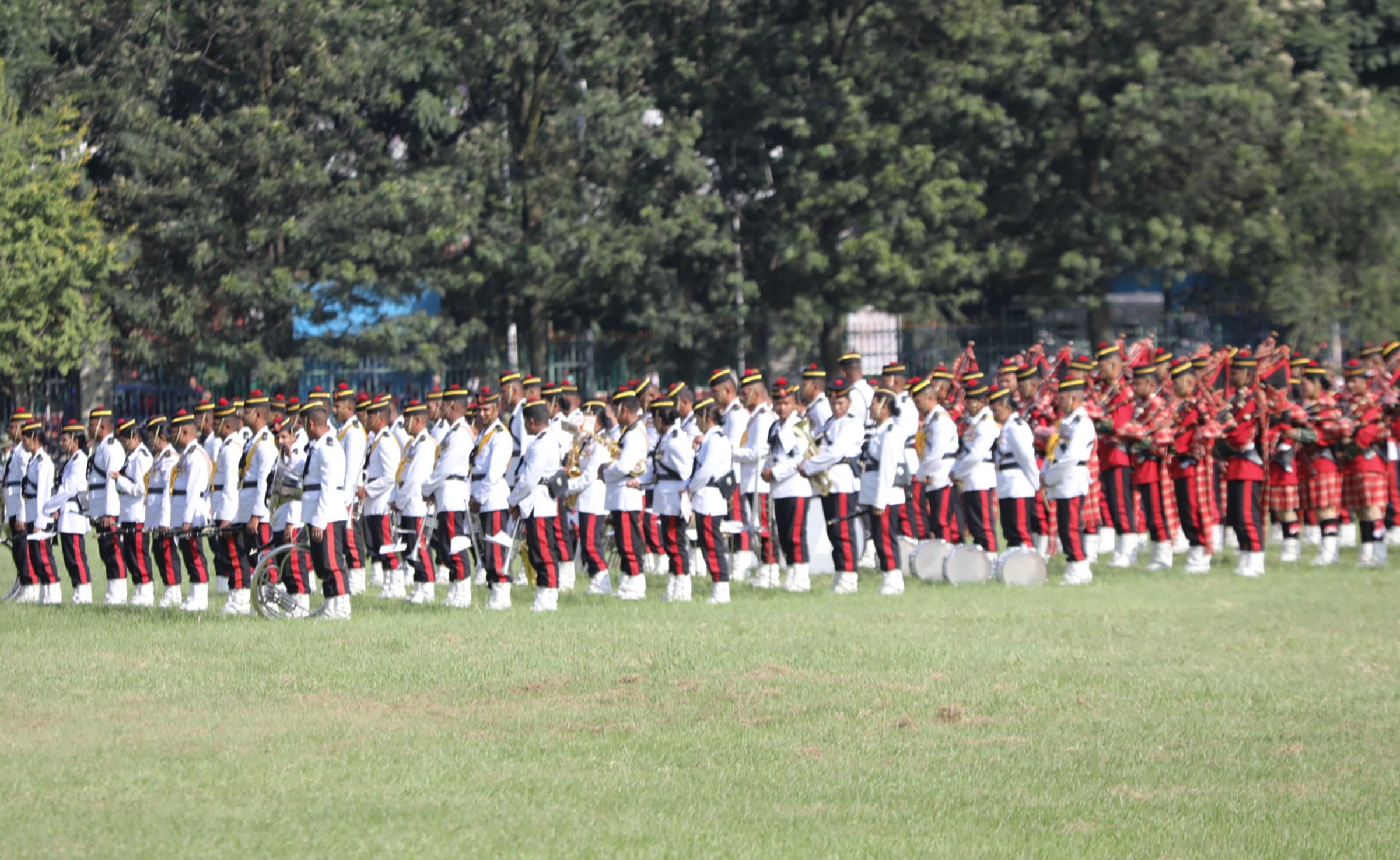 नेपाली सेनाले गर्‍यो फूलपाती बढाईं