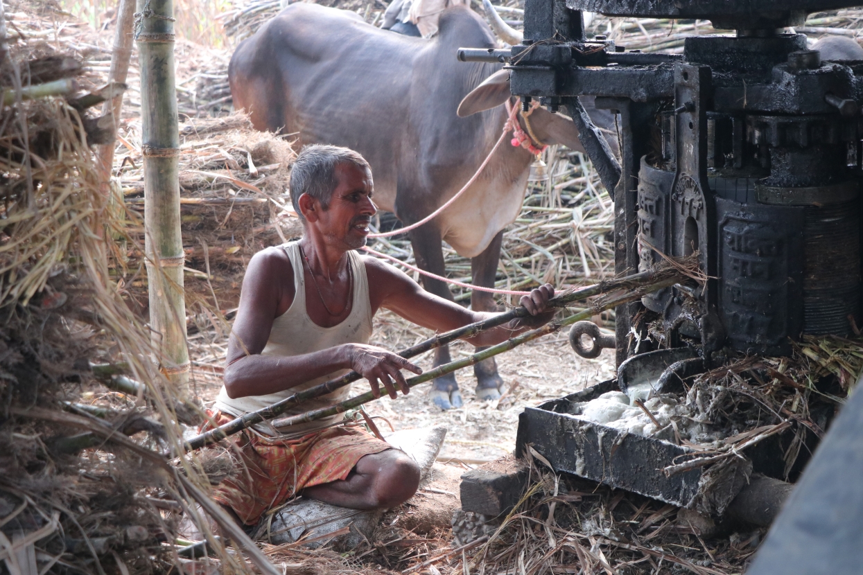 ‘सख्खर जस्तै गुलियो व्यापार’