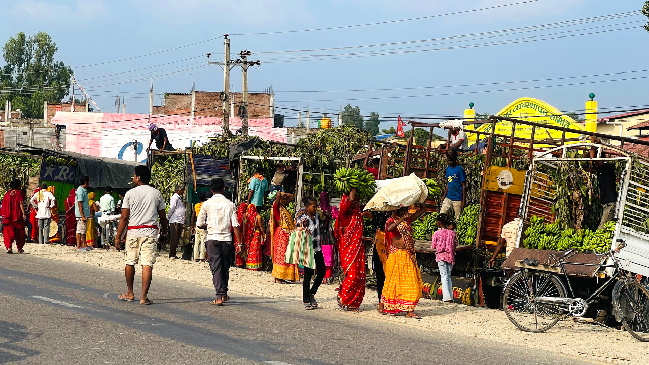 छठका लागि जनकपुरमा पाँच करोडको केरा आयात