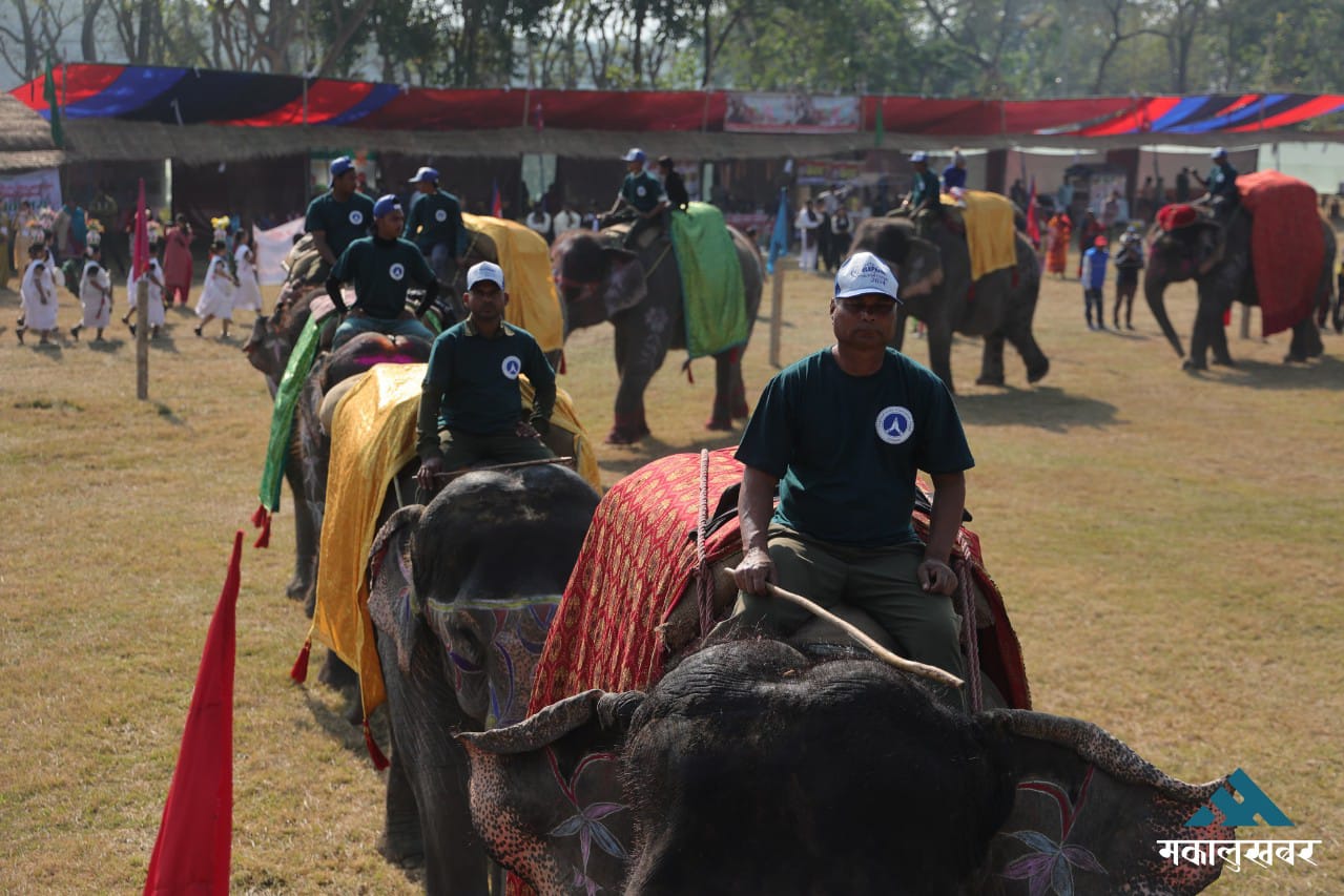 सौराहामा १८औं हात्ती तथा पर्यटन महोत्सव सुरु (तस्बिरहरू)