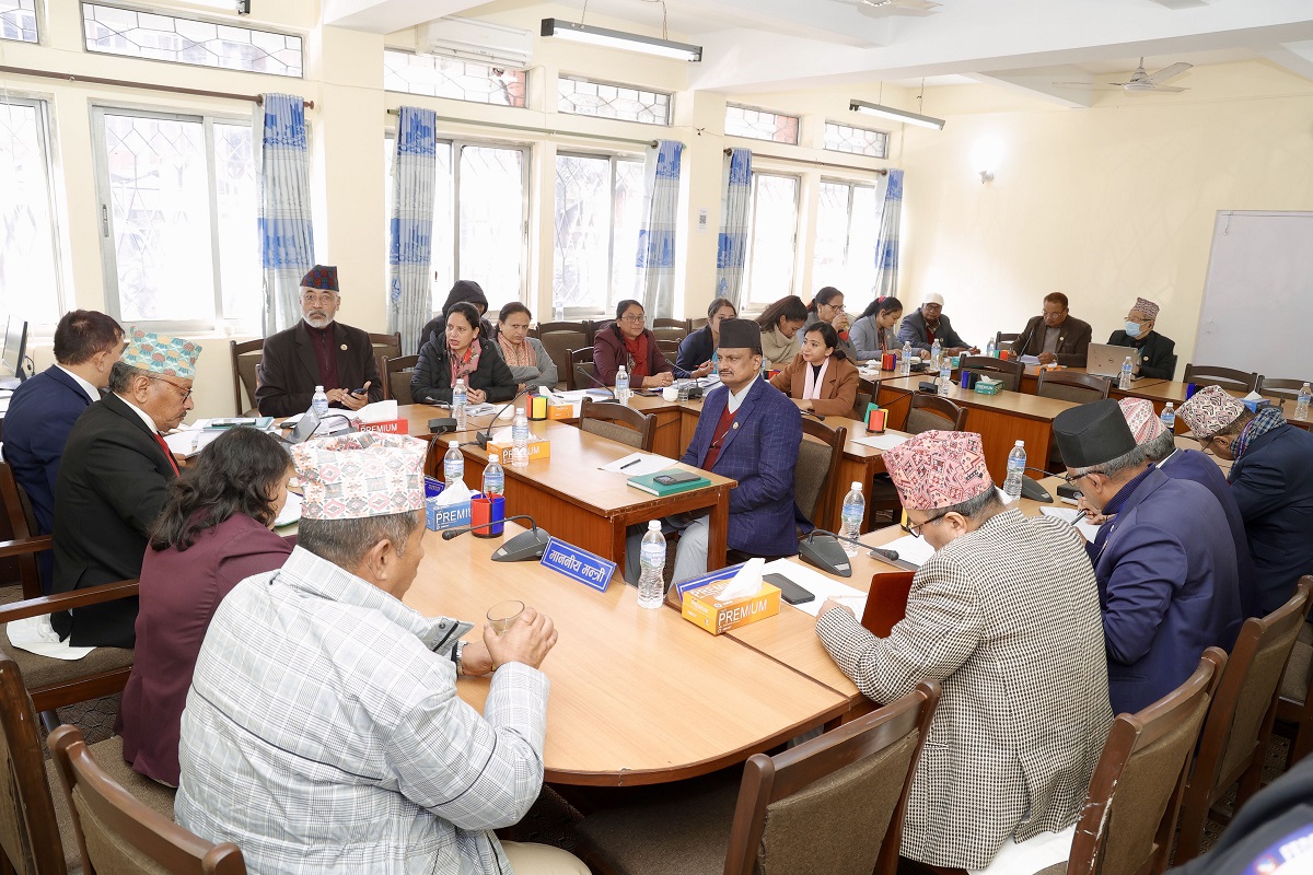 त्रिविको जग्गा तथा सम्पत्ति छानबिन समितिको प्रतिवेदन सार्वजनिक गर्न निर्देशन