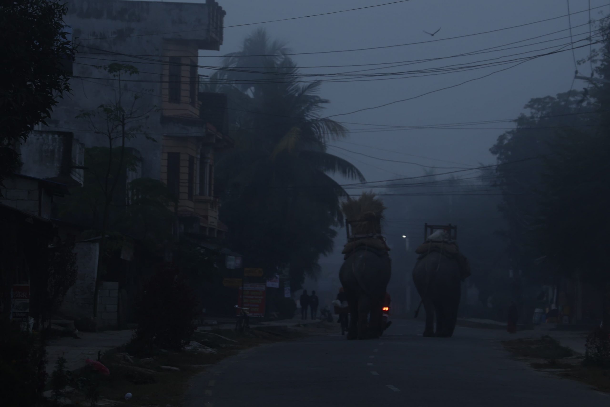 बिहानीपखको सौराहा (तस्बिरहरु)