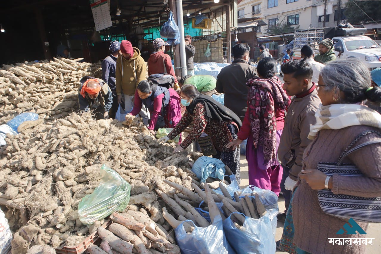 काठमाडौँमा भित्रिन थाले तरुल (तस्बिरहरू)