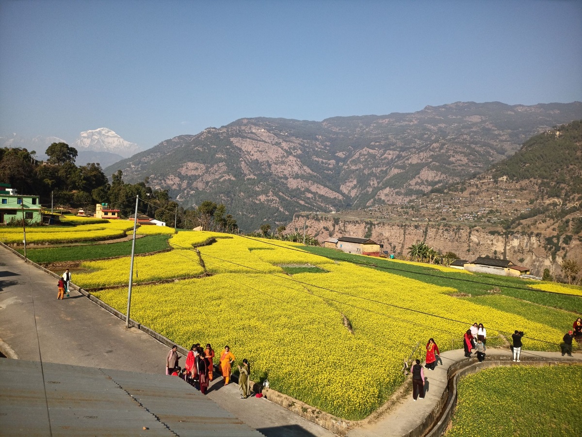 म्याग्दीको तोरीबारीमा टिकटक बनाउनेको भीड